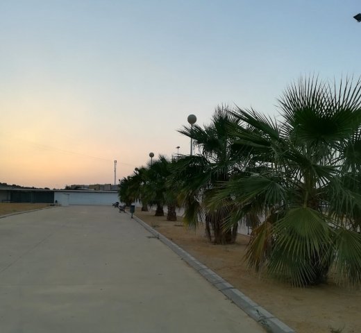 Parque Ferial (4)
